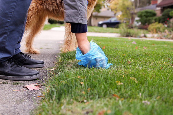 Image of people picking up dog waste.